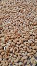 amêndoa castanha de caju tipo w1-240 t c/sal amêndoa castanha de caju tipo w1-240 t c/sal