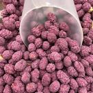 Amendoim Doce ou Amendoim Praline 500gr Amendoim Doce ou Amendoim Praline 500gr