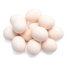 Amendoim Ovinhos Snack Petisco 500G