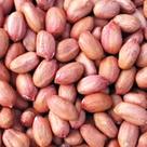 Amendoim Runner em Grãos Inteiros 5 kg