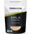 Amla em Pó Orgânico Terrasoul Superfoods - 454g