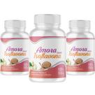 Amora Isoflavo na 360 Cápsulas 500mg Kit 3 Frascos X 120 Capsulas