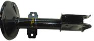 Amortecedor Duster 2011 a 2020 AMD0630