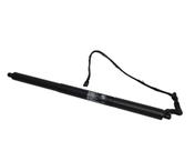 Amortecedor Esquerdo Tampa Porta Malas Original Bmw X3 51247232003