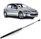 Amortecedor porta malas 307 hatch 2002 em diante tg1201042