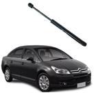 Amortecedor porta malas c4 pallas 2006 a 2013 bmg18003