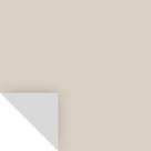 Amostra de pintura Benjamin Moore Pale Oak OC-20