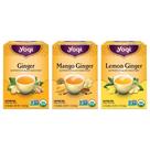 Amostrador de variedades de gengibre Tea Yogi, orgânico sem cafeína, 48 sacos