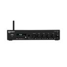 Amplificador Class D THS 1902 60 W (30W + 30W) USB/Rádio FM/Bluetooth Taramps - 902467