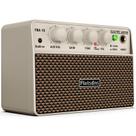 Amplificador de Guitarra Flatsons FBA-10 10W Mini Eléctrico con Modos Limpio/Drive