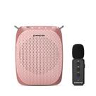 Amplificador de Voz ZOWEETEK ZW-S611RG Microfone Lapela Sem Fio
