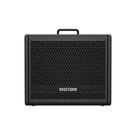Amplificador Para Guitarra 10 Pol 40w Vosstorm Gx-10 F108