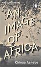 An image of africa - the trouble with nigeria