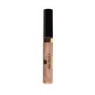 Ana Paula Marçal Deline Efeito Verniz Gloss Labial 7ml