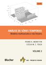 Análise de Séries Temporais - BLUCHER