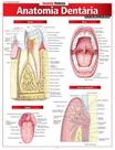 Anatomia dentária avançada
