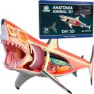 Anatomia Tubarão 3D Educativo com 39 Peças p/ Montar - 50031 Anatomia Tubarão 3D Educativo com 39 Peças p/ Montar - 50031