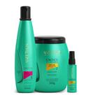 Aneethun Cachos Shampoo 300ml + Máscara 500g + Óleo 55ml