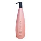 Aneethun Care System - Shampoo 1L Aneethun Care System - Shampoo 1L