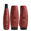 Aneethun Force System Kit Shampoo Finalizador e Máscara Fortalecedora 250g
