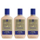 Aneethun Linha A Kit Creme de Silicone Brilho 3x250ml