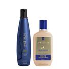 Aneethun Linha A Kit Shampoo e Creme de Silicone Brilho 250ml