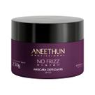 Aneethun Mascara No Frizz System 250G