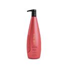 Aneethun Restore System Repositor Restaurador 1L