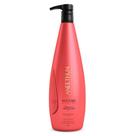 Aneethun Restore System Shampoo 1L