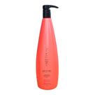 Aneethun Restore System - Shampoo Restaurador 1L