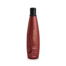 Aneethun Shampoo Fortalecedor Force System 300ML