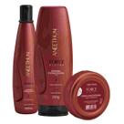 Aneethun Shampoo + Mascara + Dose Fortalecedora Force System