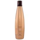 Aneethun Silver Shampoo Blond 300ml