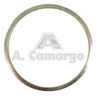 Anel 651690