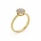 Anel Chuveiro Ouro 18K - 1.26