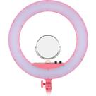 Anel de luz LED Godox LR160 49cm bicolor 110V