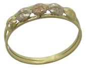 Anel Dois Aros Trabalhados Em Ouro 18k - Face Detalhada