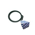 Anel Elastico