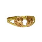 Anel Em Ouro 18k 750 2 Corações Aro Aberto