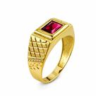 Anel em Ouro 18k TV Vermelho - Brilho e Sofisticação Anel em Ouro 18k TV Vermelho - Brilho e Sofisticação
