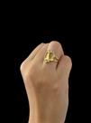 Anel Feminino Nossa Senhora Coração - Banhado a Ouro 18k