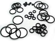 Anel o'ring