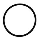 Anel Oring 47,29X2,62mm para Lavadora WAP Term G2 800 860 Term Inox G2 1200 L2400/14 70020314