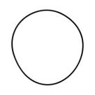 Anel oring 87530600-zf