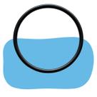 Anel Oring Da Tampa Do Pré Filtro Bomba Piscina Nautilus Nbf