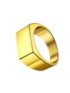 Anel Punk Ouro 18k 6mm Tungstenio Tradicional Anatomica