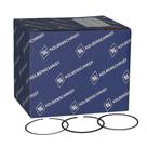 Anel Segmento Ranger T4 3.2 20v Duratorq Diesel Std
