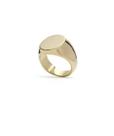Anel Selo Mindinho Banhado Ouro 18k - Joias Lepich