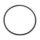 Anel Vedação Filtro Aqualar Bella Fonte 3m Cuno Acqua PN555 - OR1237