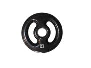 Anilha Ferro Fundido Emborrachada Fitness Academia 2,0 Kg
